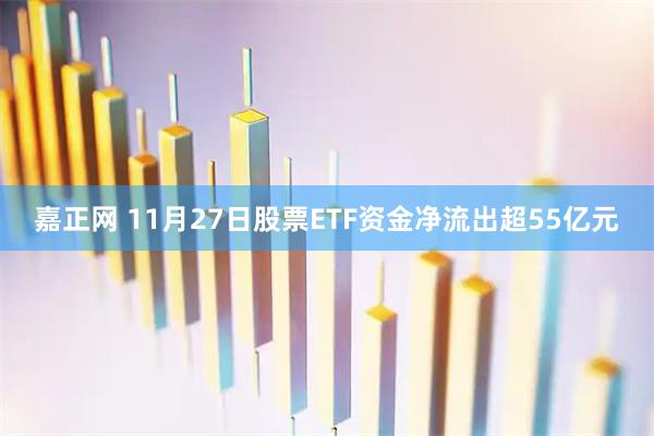 嘉正网 11月27日股票ETF资金净流出超55亿元