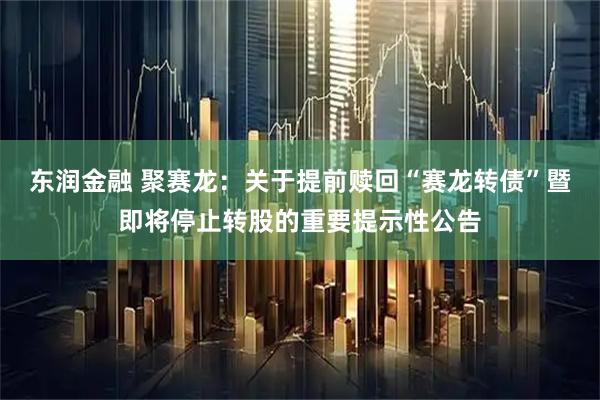 东润金融 聚赛龙：关于提前赎回“赛龙转债”暨即将停止转股的重要提示性公告