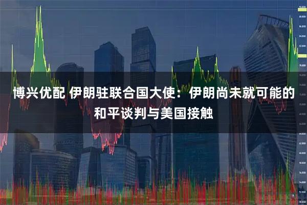 博兴优配 伊朗驻联合国大使：伊朗尚未就可能的和平谈判与美国接触