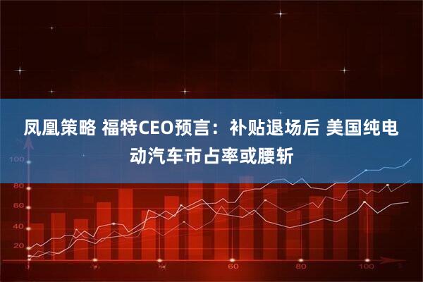 凤凰策略 福特CEO预言：补贴退场后 美国纯电动汽车市占率或腰斩